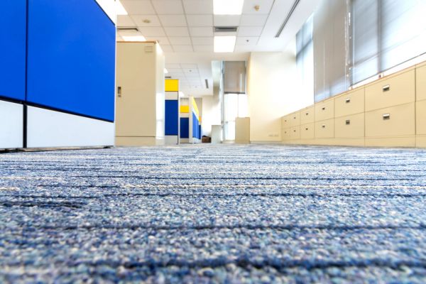 Business Carpet Cleaning in Murrieta